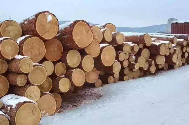 木材进口报关代理