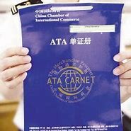 办理ATA单证册