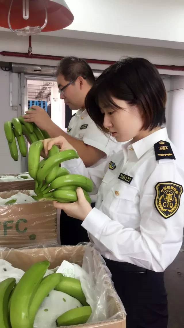 越南香蕉进口报关