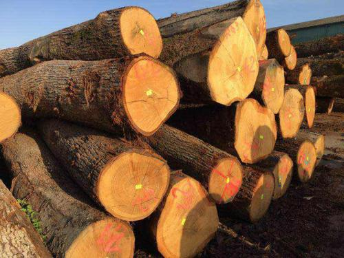 欧洲木材进口清关