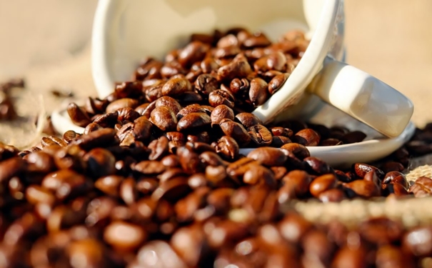 加拿大咖啡豆进口报关的流程以及资料是怎样的