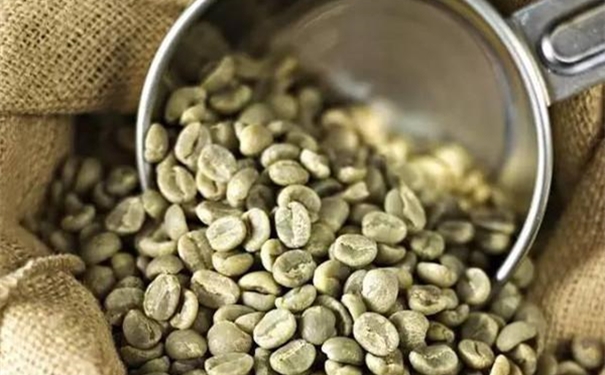 生咖啡豆进口报关代理