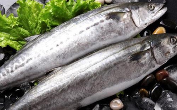 冷冻水产品进口报关如何办理相关的资料 冷冻水产品进口报关