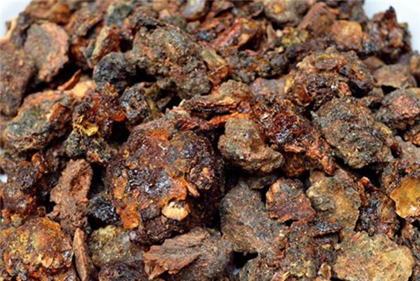 没药报关报检代理公司告诉你进口报关方案 没药报关报检代理公司.jpg