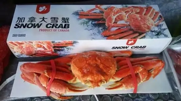 加拿大螃蟹代理清关进口公司