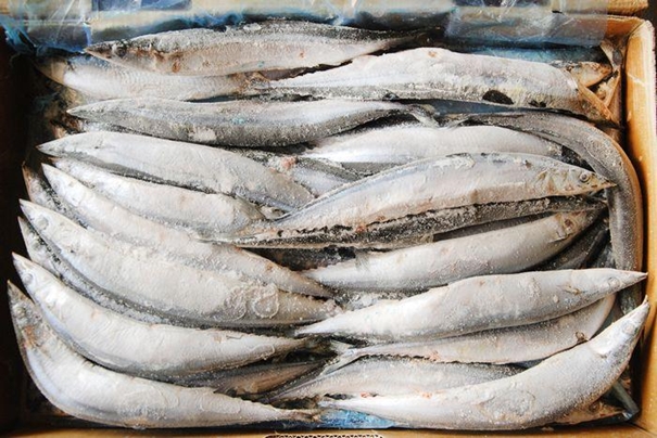 1630665354483091.jpg 进口冷冻水产品报关_副本.jpg