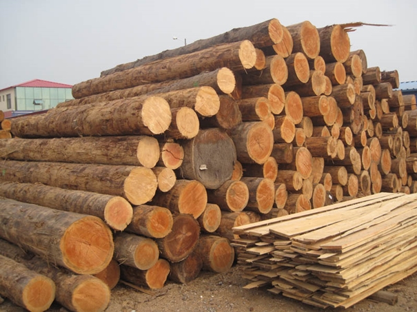 木材清关公司告诉你木材进口的监管证件_副本.jpg