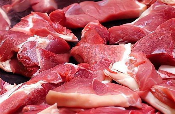 1640596895276323.jpg 河南进口猪肉清关_副本.jpg