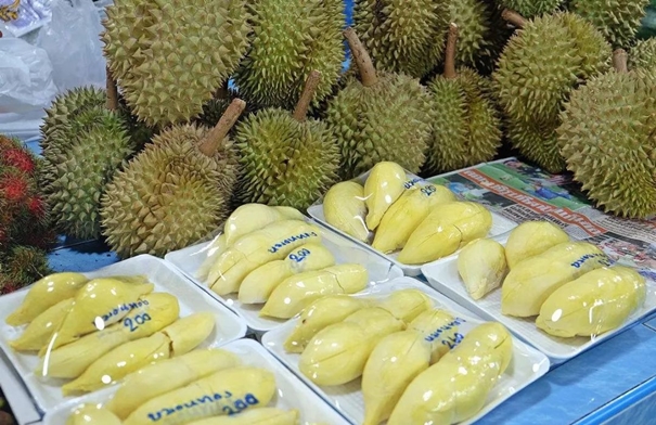 1646726602411396.jpg 进口泰国新鲜榴莲报关_副本.jpg