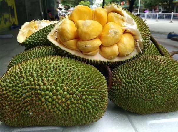 泰国菠萝蜜进口报关_副本.jpg