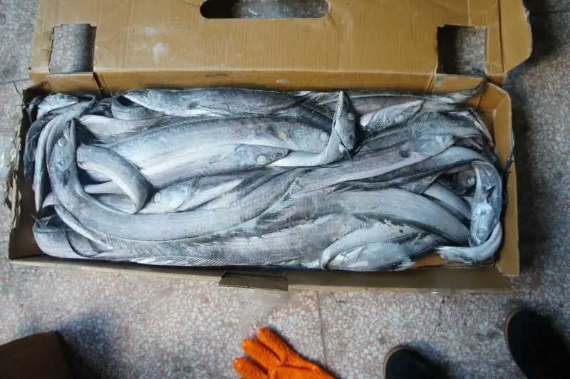 1652958275847590.png 青岛冻品进口清关公司.png