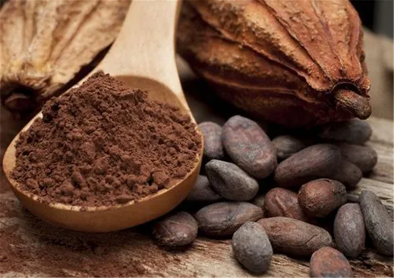 1653469795583609.png 巧克力原料进口报关.png