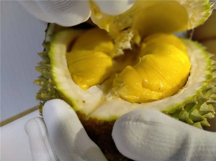 1654767037474673.png 进口马来西亚猫山王榴莲清关.png