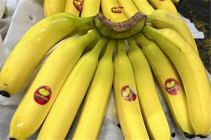 鲜香蕉进口清关.jpg
