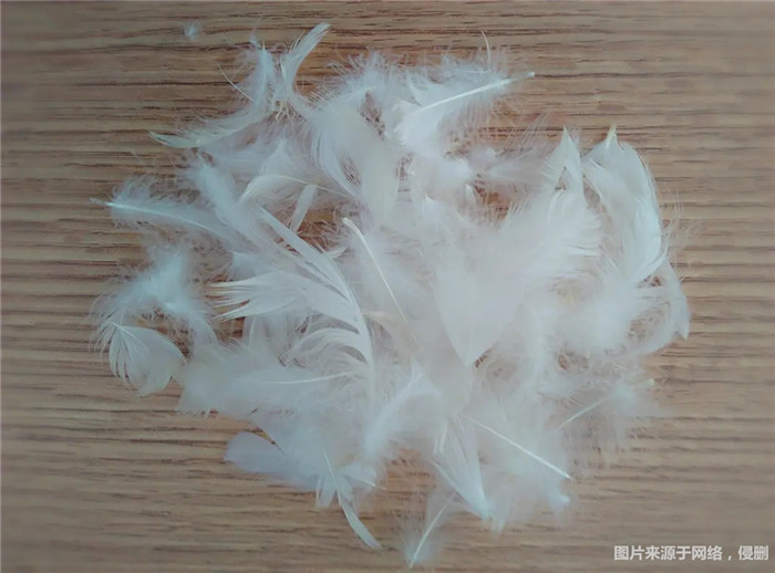 1670322312967922.jpg 水洗白鸭毛进口报关.jpg