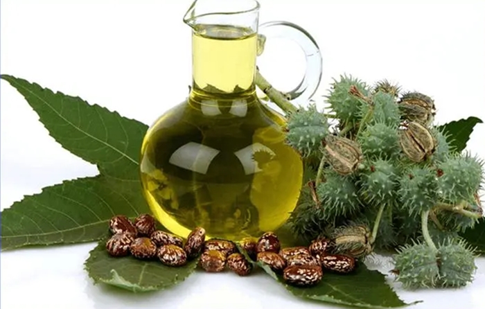 1673265035515204.jpg 进口印度蓖麻油清关.jpg