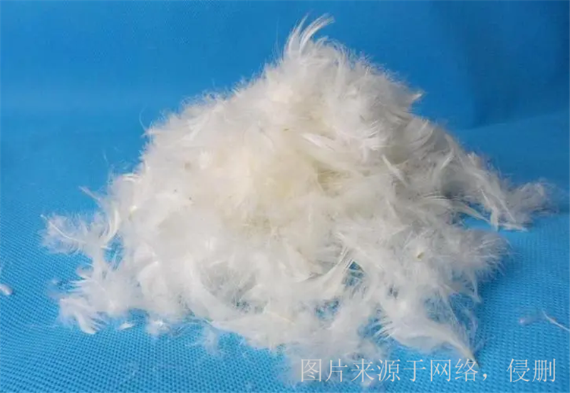 1676974503898014.png 广西贵港鸭毛进口报关.png