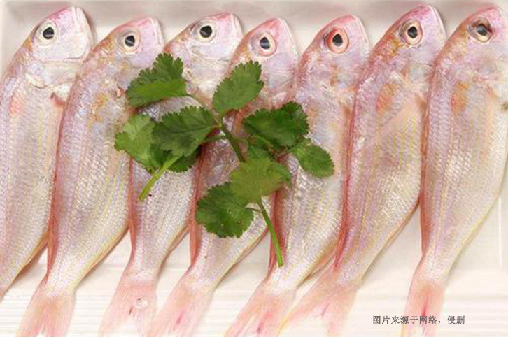 广州进口越南金线鱼清关流程