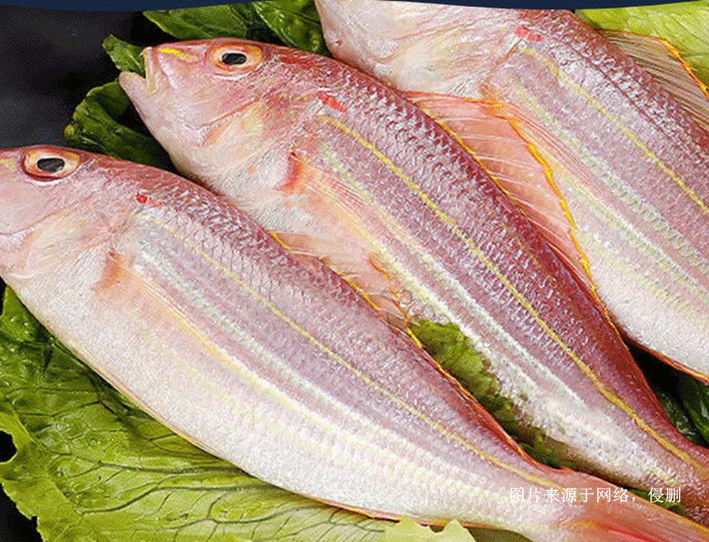 越南冷冻金线鱼进口报关流程