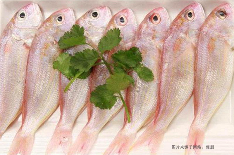 越南冷冻鱼进口清关资料