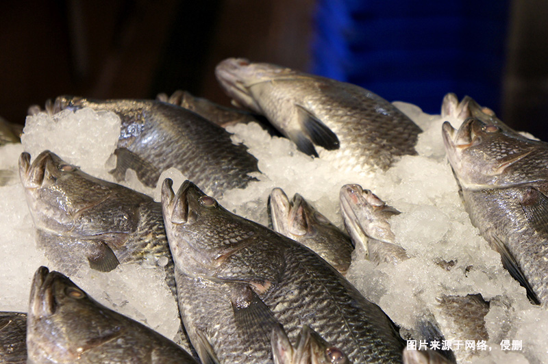 巴布亚新几内亚到广州鲈鱼进口报关流程冷冻鱼案例