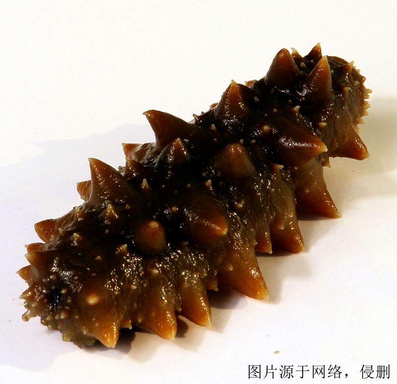 印度尼西亚进口报关公司哪家好