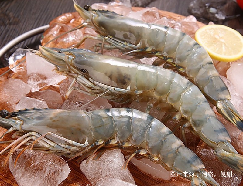 缅甸冷冻黑虎虾进口清关资料到广州南沙水产品案例