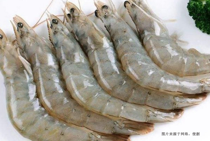 越南冷冻南美白对虾进口报关资料