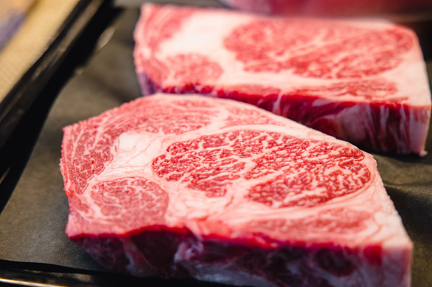 河南牛肉进口报关公司_副本.png