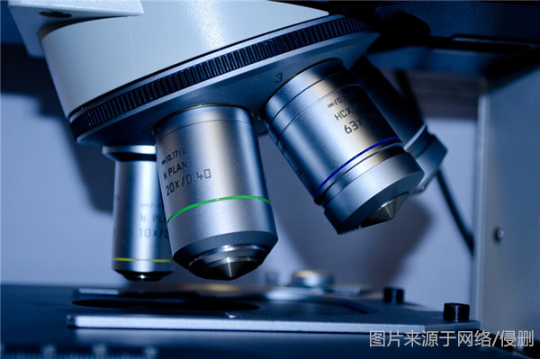 显微镜进口报关_副本.jpg