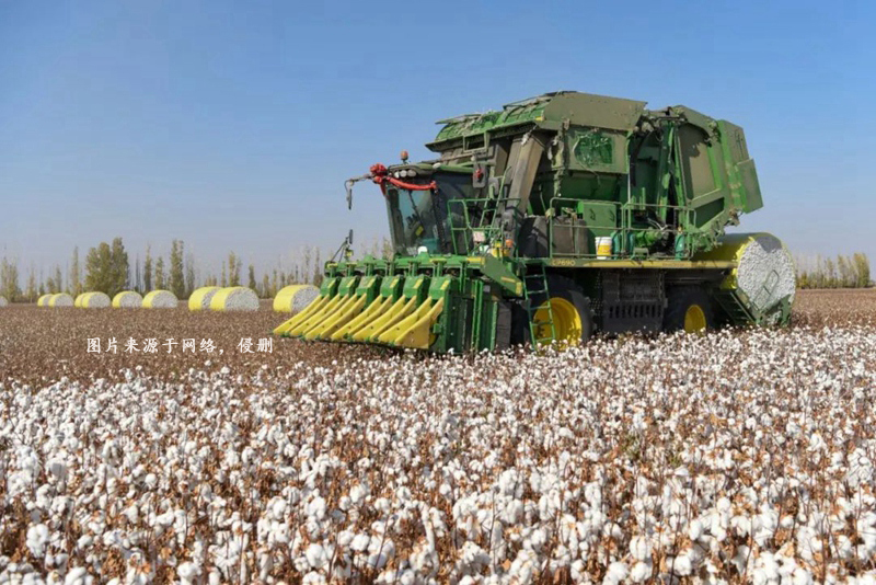 进口美国棉花采摘机配件报关流程